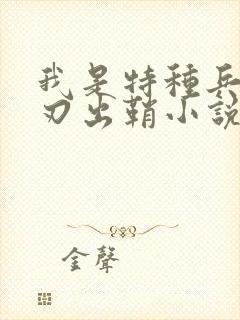 我是特种兵之利刃出鞘小说