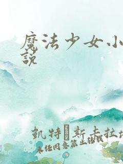 魔法少女小圆小说