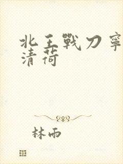 北王战刀宁北苏清荷