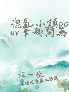 混乱小镇popuv笔趣阁无广告