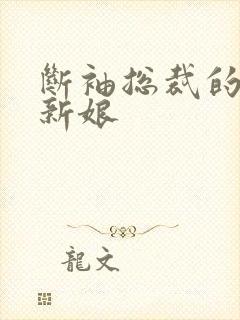 断袖总裁的落跑新娘