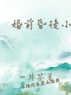 婚前昏后小说