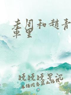 老周和赵青在货车里