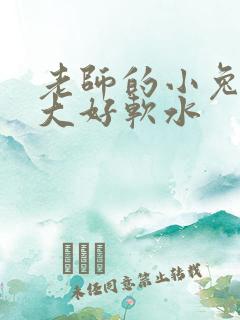 老师的小兔子好大好软水