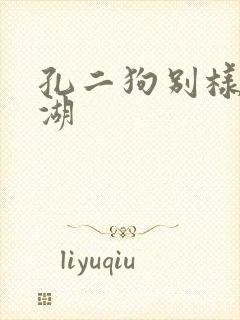 孔二狗别样的江湖