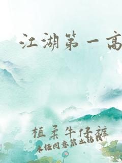 江湖第一高手