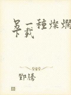 另一种灿烂生活下载