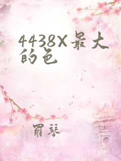 4438X最大的色