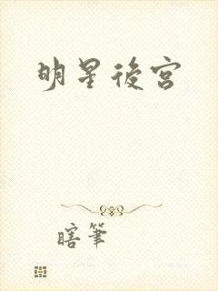明星后宫