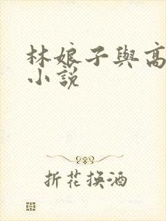林娘子与高衙内小说