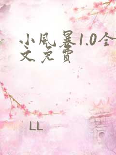 小风暴1.0全文免费