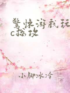 惊悚游戏玩npc总攻