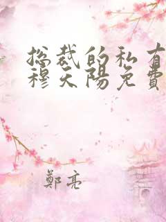 总裁的私有宝贝穆天阳免费