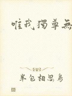 唯我独尊无弹窗