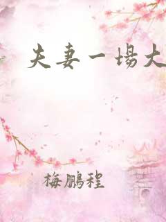 夫妻一场大结局