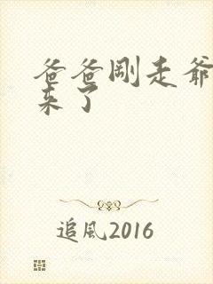 爸爸刚走爷爷就来了