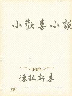 小欢喜小说