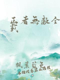 正者无敌全集下载