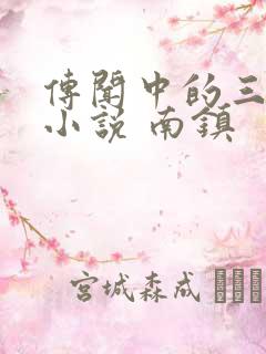 传闻中的三公主小说 南镇