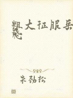 粗大征服岳女双飞