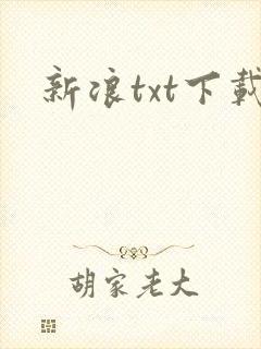 新浪txt下载