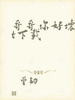 哥哥你好坏txt下载