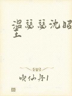 温瑟瑟沈昭摄政王