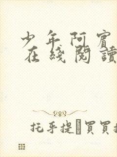 少 年 阿 宾 在 线 阅 读