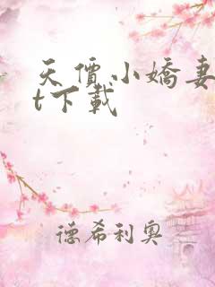 天价小娇妻txt下载