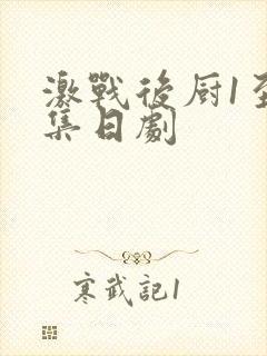 激战后厨1至5集日剧