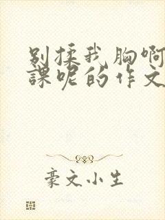 别揉我胸啊嗯上课呢的作文