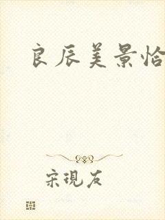 良辰美景恰似你