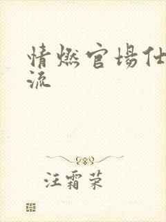 情燃官场仕途风流