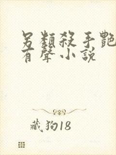 另类杀手艳福星有声小说