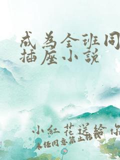 成为全班同学的插座小说