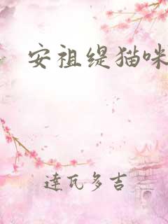 安祖缇猫咪抱抱