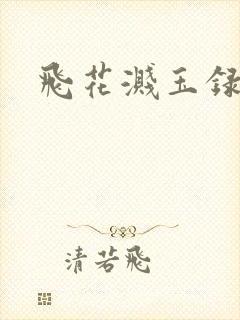 飞花溅玉录