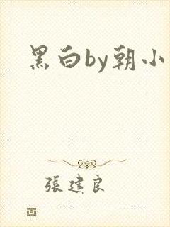 黑白by朝小诚