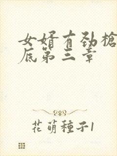 女婿有劲枪枪到底第三章