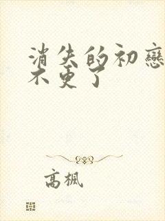 消失的初恋为啥不更了