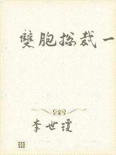 双胞总裁一个妻