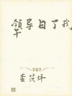 领导日了我一下午