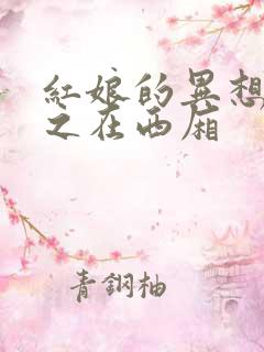 红娘的异想世界之在西厢