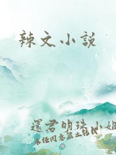 辣文小说