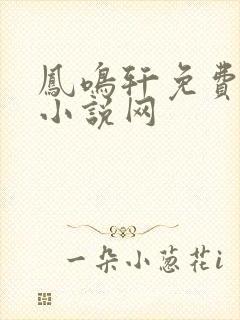 凤鸣轩免费言情小说网