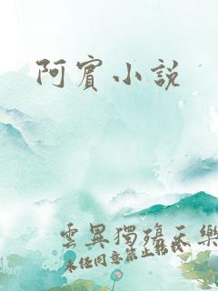 阿宾小说