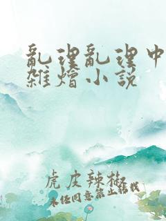 乱理乱理中文大杂烩小说