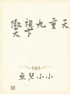 傲视九重天风凌天下