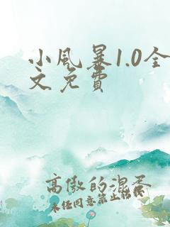 小风暴1.0全文免费