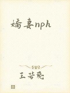 娇妻nph